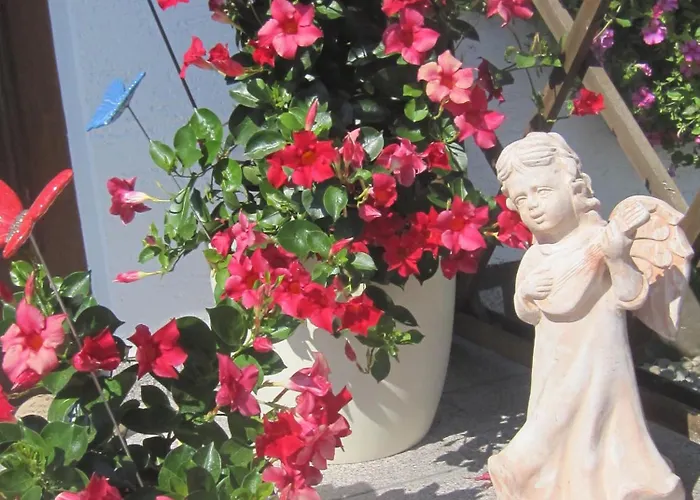 Penzion Erwachsenen Der Wieserhof Wunderschoene Einzellage